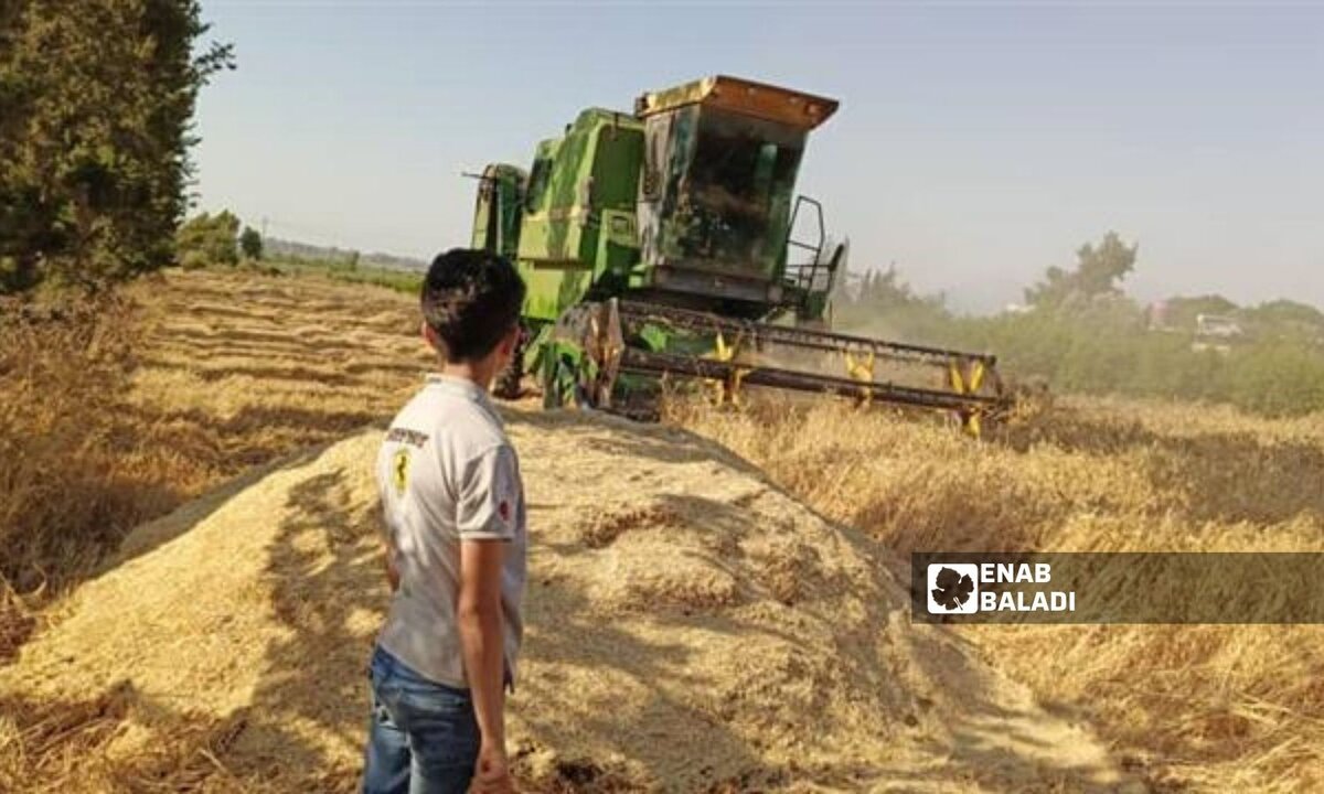انتعاش الصادرات الزراعية السورية إلى الأردن: فوائد ملموسة للمزارعين