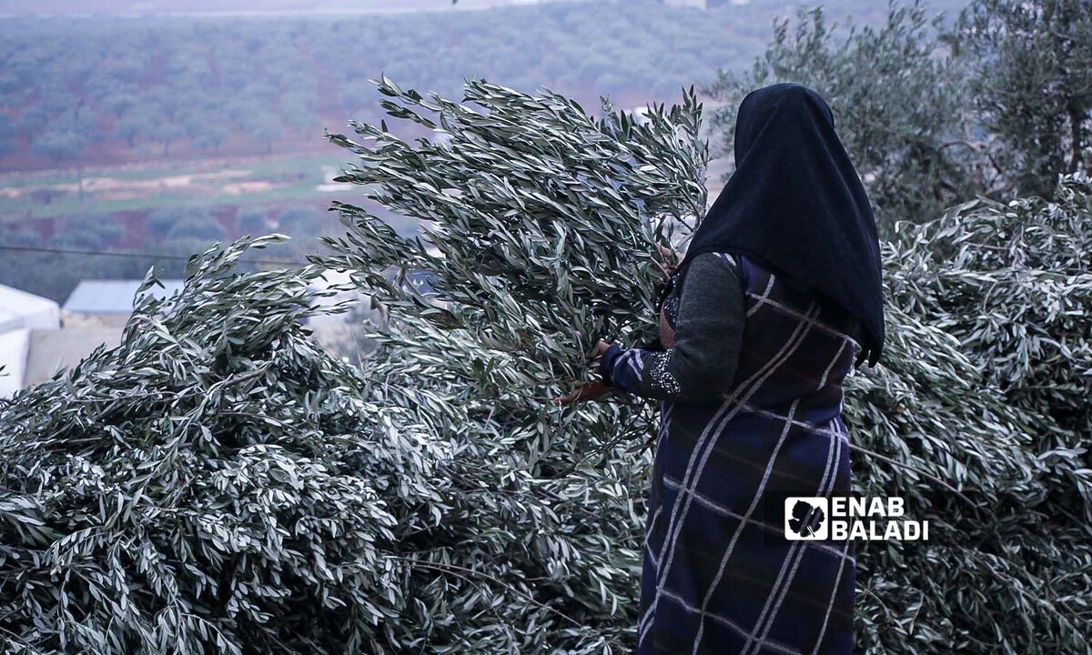 حياة مهددة: مأساة الحوامل في مخيمات شمال سوريا في ظل نقص الرعاية الصحية