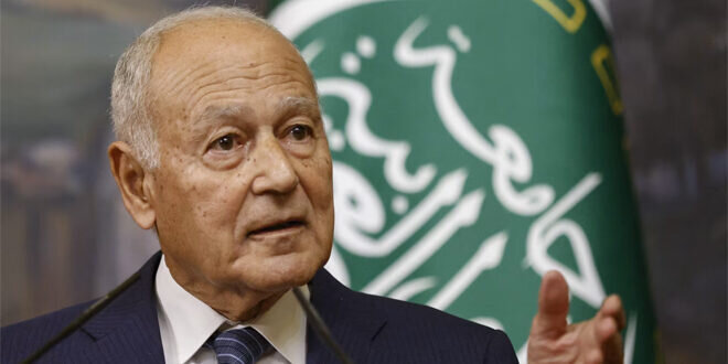 أبو الغيط يحث المؤسسات العربية على دعم إعادة إعمار سوريا وغزة