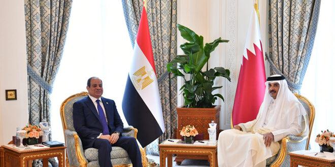 مصر وقطر تتفقان على ضرورة الحفاظ على وحدة واستقرار سوريا ودعم شعبها