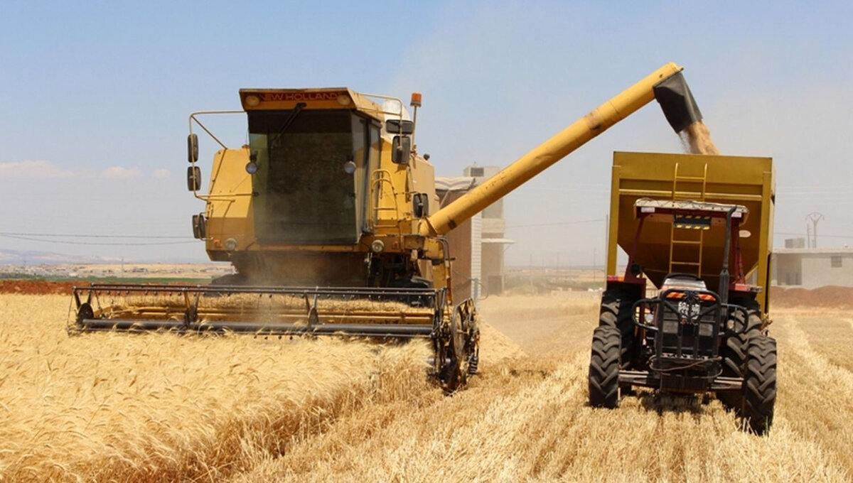 سوريا: حلول تنموية داخلية لمواجهة أزمة الغذاء المتفاقمة